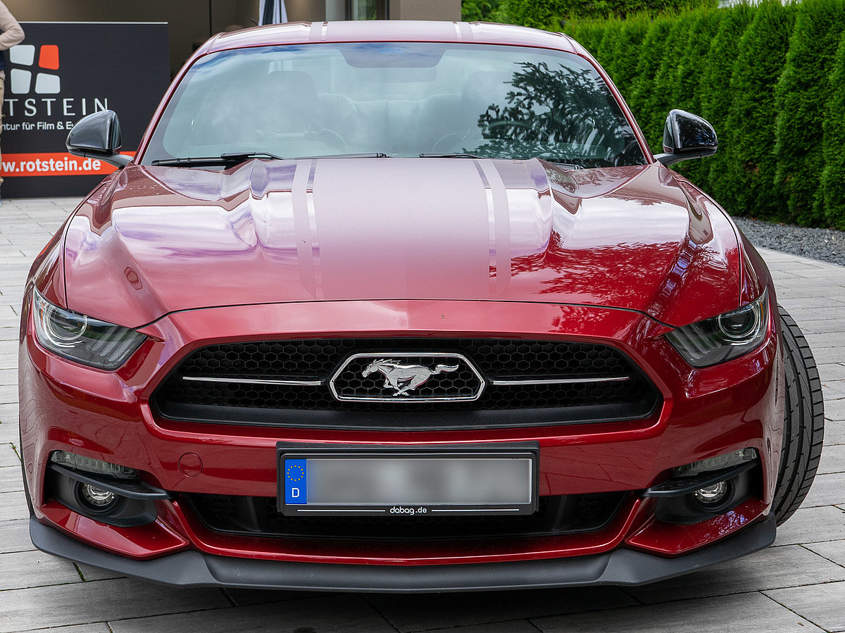 Mustang