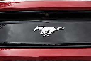 Mustang