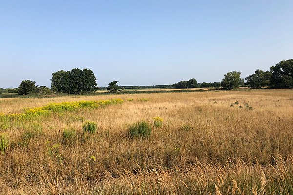 Freies Feld