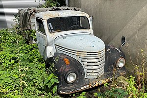 Framo verwachsen