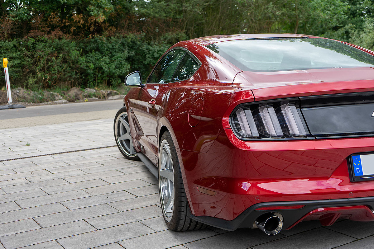 Mustang