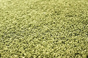 Teppichboden / OBJECT CARPET - RUGX 'Poodle' / 160 x 140 cm / grün 1402