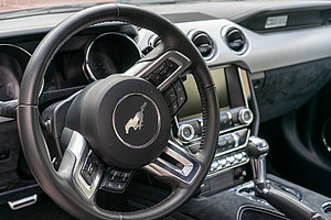 Mustang