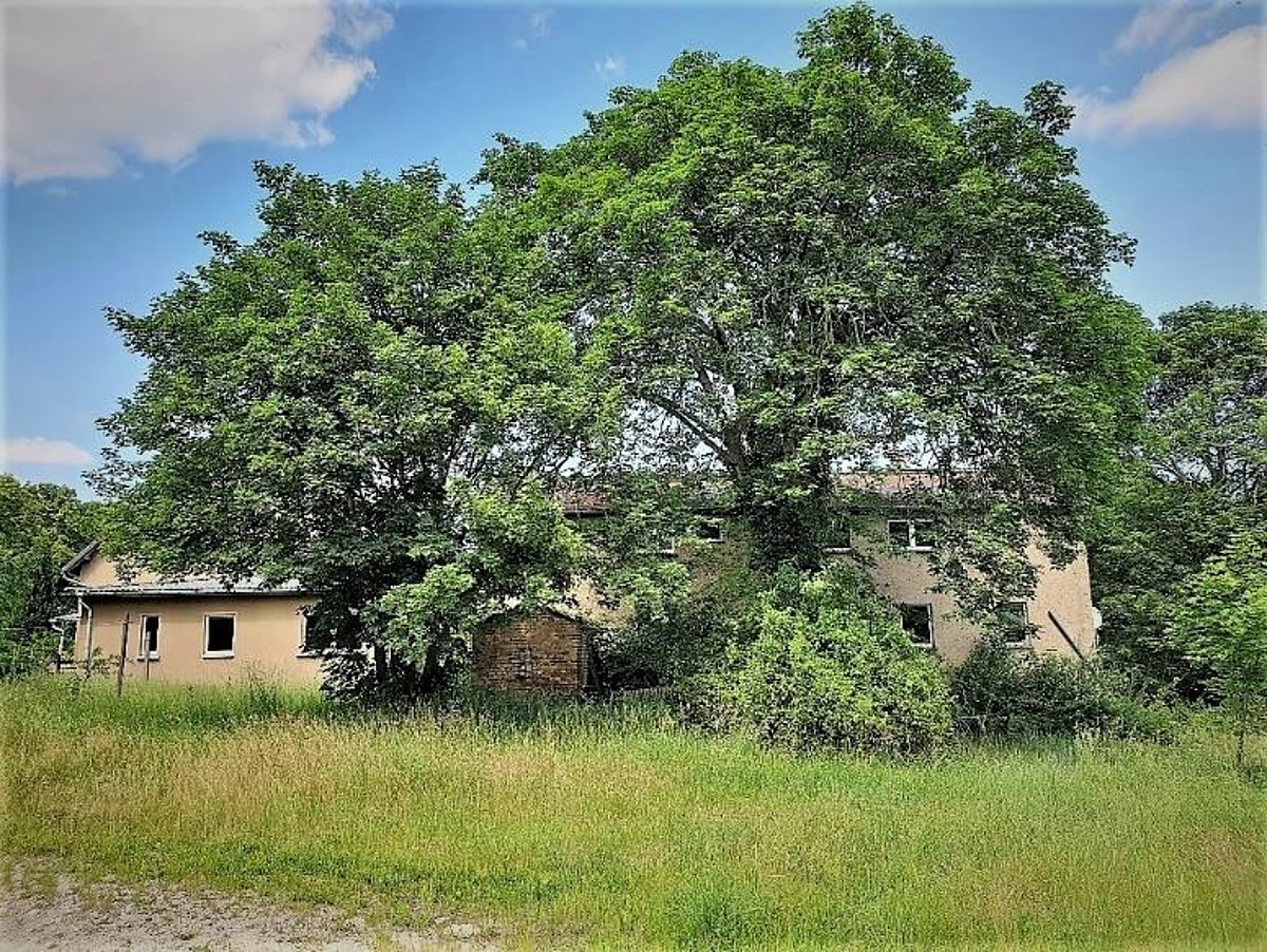 altes Haus von 1950