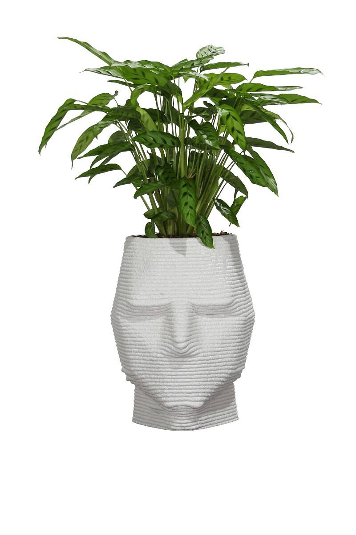 Pflanzengefäß Kopf S / 3D-Betondruck / weiß