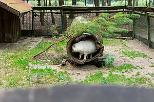Tierpark Teilbereich Freigehege