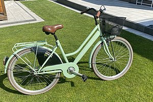 Damenrad