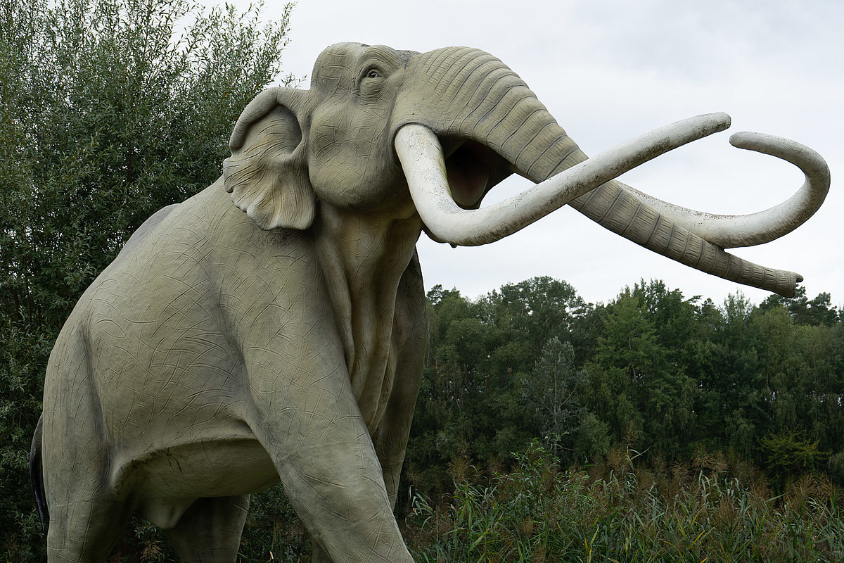 Tier- Freizeit- und Saurierpark