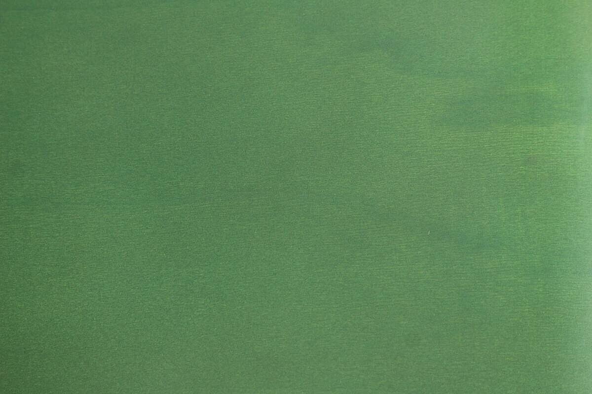 Besucherstuhl / cappellini 'Tate Color' / grasgrün / NP 583 EUR