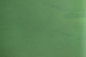 Besucherstuhl / cappellini 'Tate Color' / grasgrün / NP 583 EUR