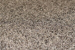 'Poodle 1400' Teppichboden von OBJECT CARPET, 645 x 350 cm in braun